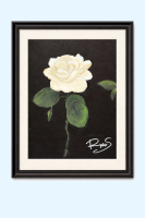 July 27th-30th  9.30AM -12.00 Noon Drawing and Painting :  with Ms.Parris( Ages 6-12) $210